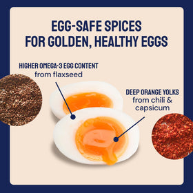 Hatortempt protein-rich BSF larvae support feathers and muscles in flocks.