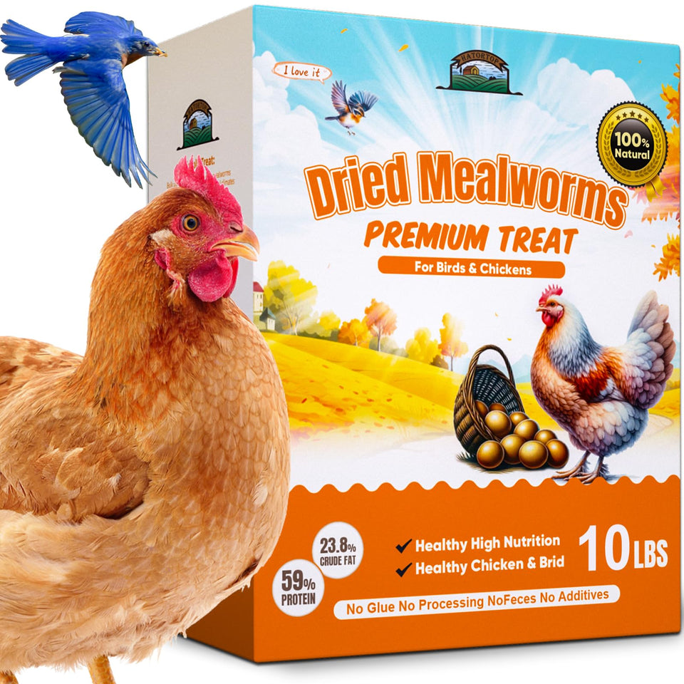 HATORTOP 10lb dried mealworms package front for protein-rich poultry and birds.