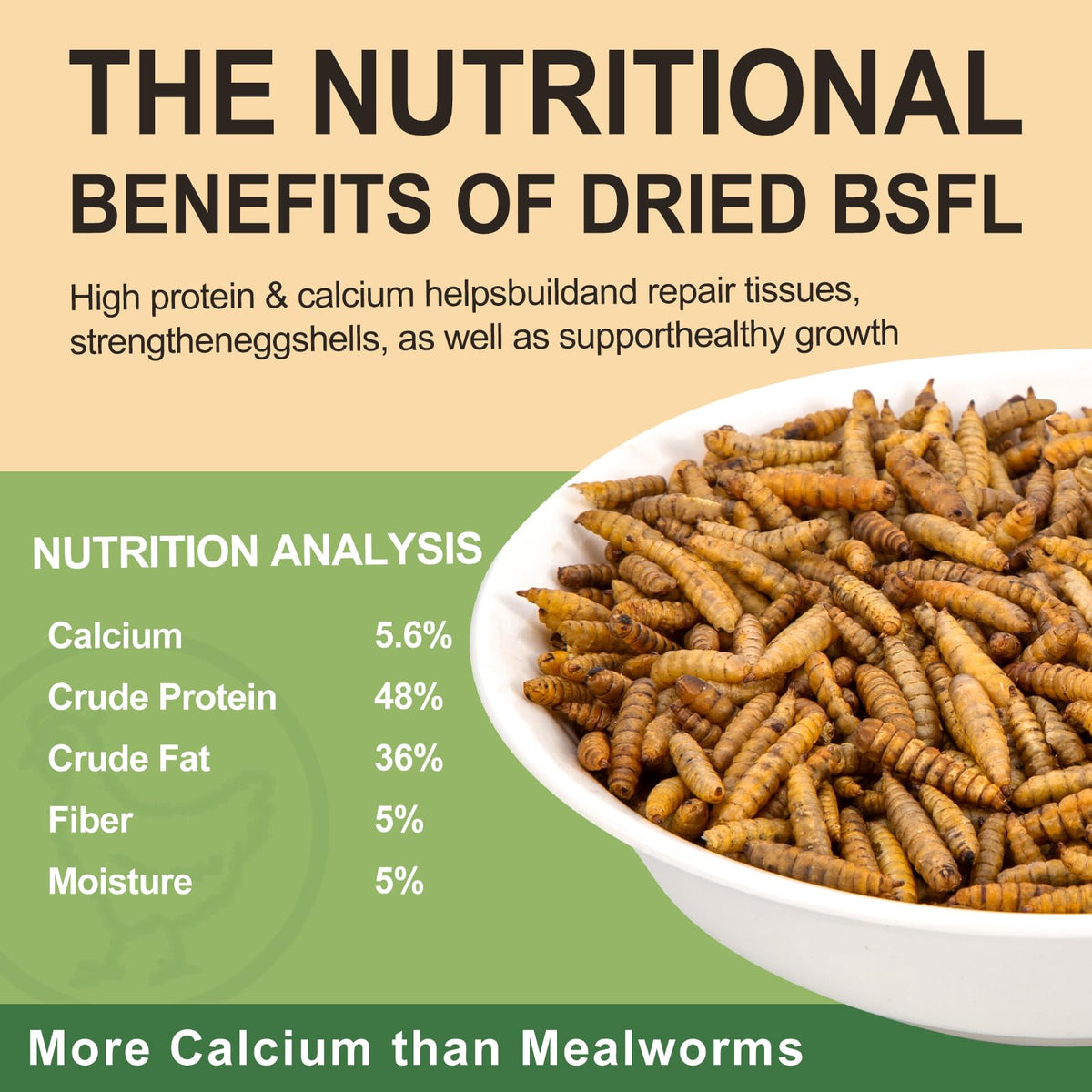 HATORTOP BSF larvae close-up with dried worms and non-GMO label visible