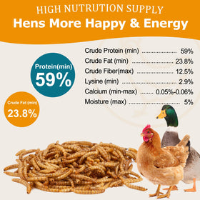 HATORTOP dried mealworms in nature scene for birds