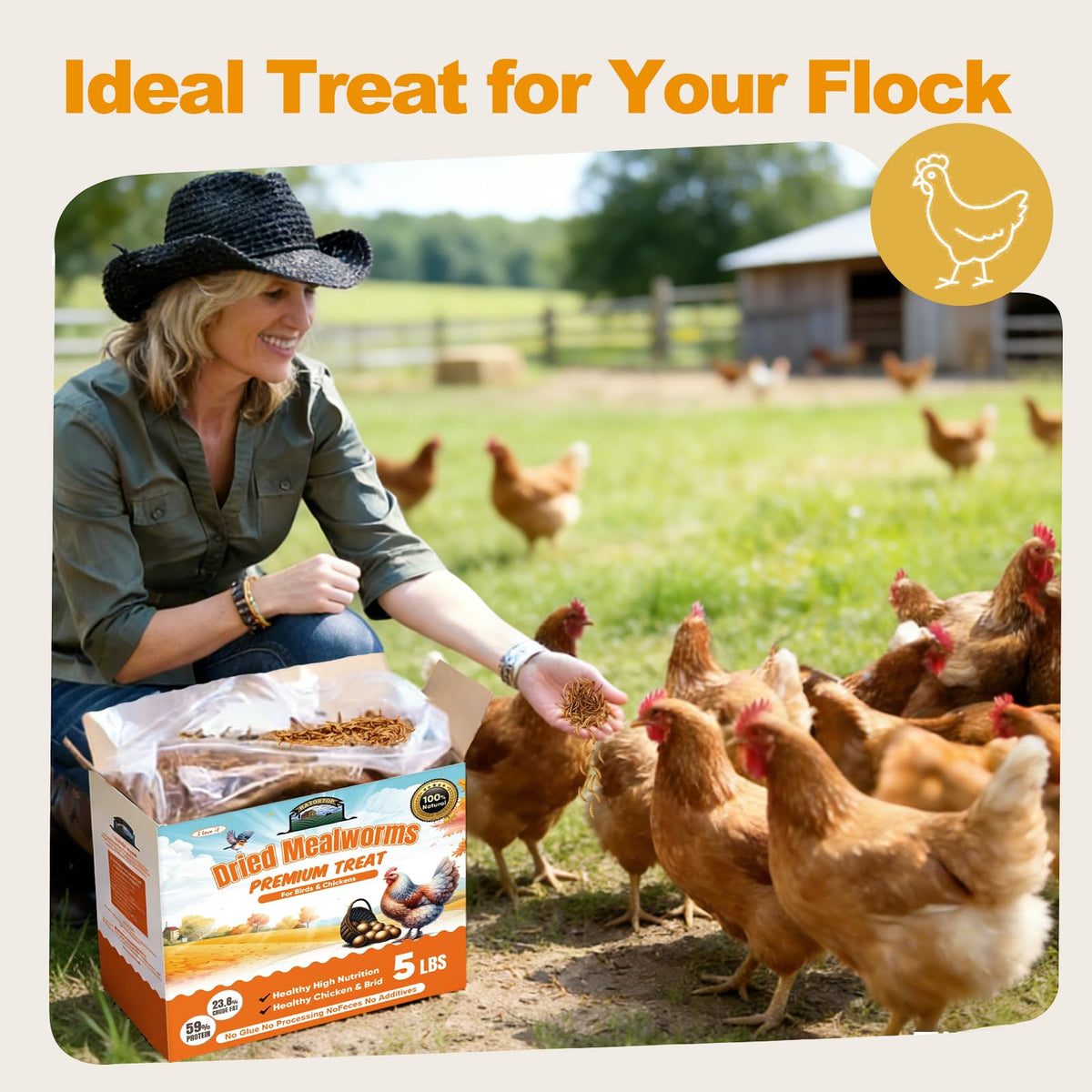 HATORTOP calcium and fiber rich mealworms support shells and digestion