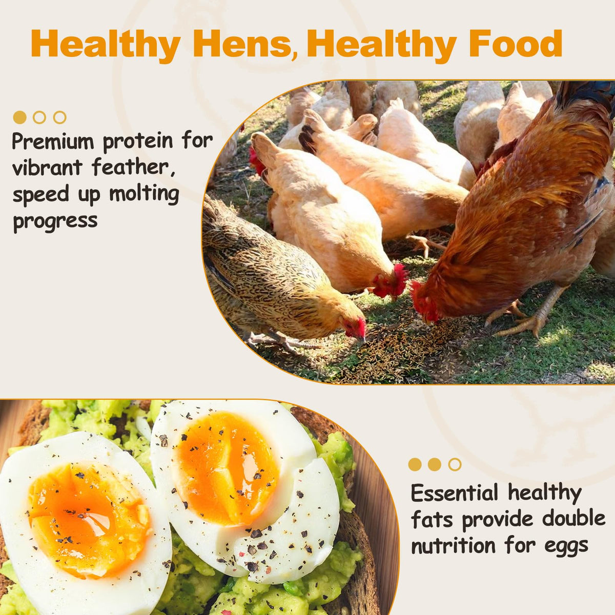 HATORTOP mealworms show high-protein content for laying hens