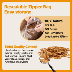 HATORTOP resealable bag keeps mealworms fresh for backyard birds