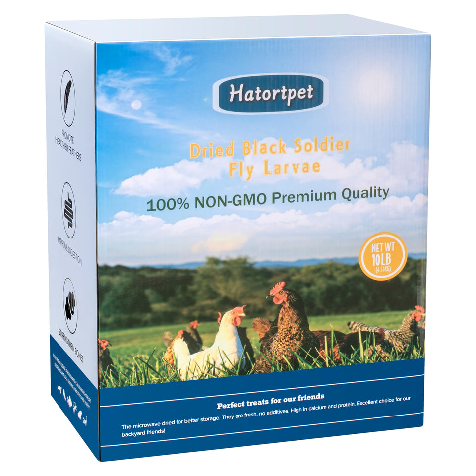 Hatortpet dried BSF larvae for chickens in a 10lb bag boosts protein for healthy laying