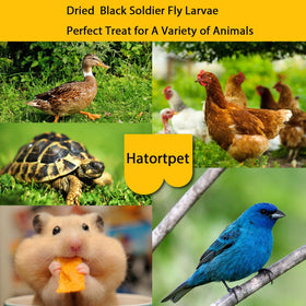 Hatortpet larvae come in a resealable bag to stay fresh