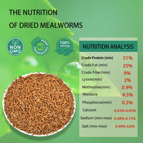 Hatortpet dried mealworms closeup texture for poultry snack.