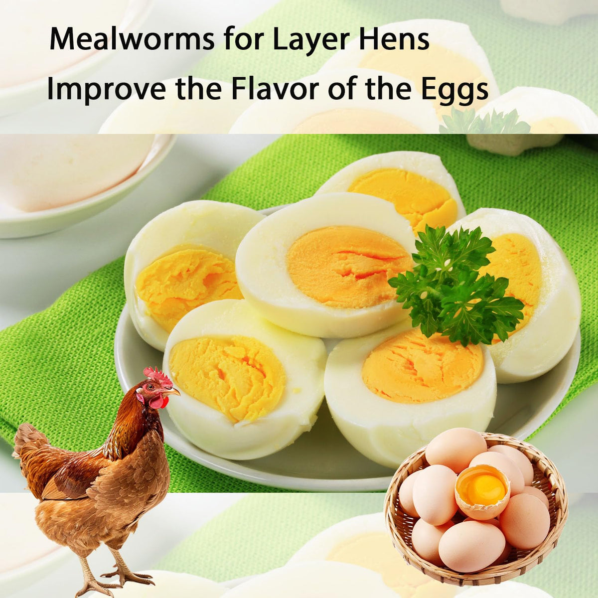 Dried mealworms in a dish ready to mix with feed by Hatortpet.