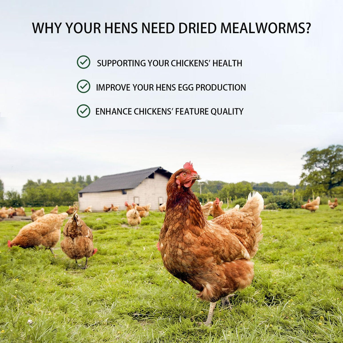 Hatortpet packaging emphasizes sustainable protein for birds and wildlife.