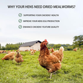 Hatortpet packaging emphasizes sustainable protein for birds and wildlife.