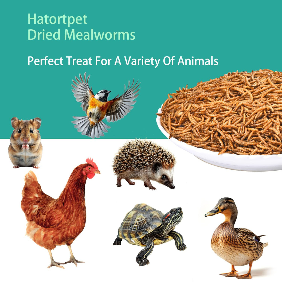 Resealable Hatortpet bag of dried mealworms to preserve freshness.