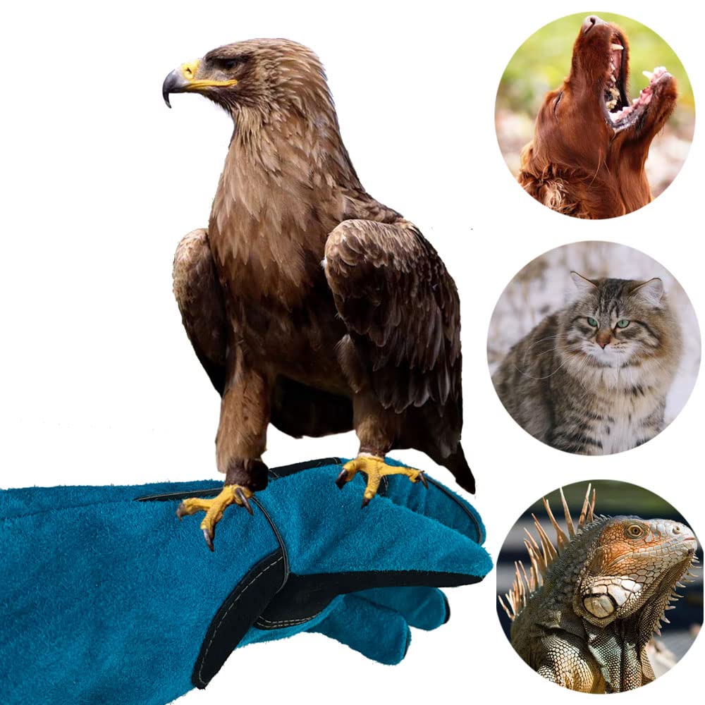 Versatile Haulonda gloves for grilling, gardening, camping, and pet care