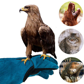 Versatile Haulonda gloves for grilling, gardening, camping, and pet care