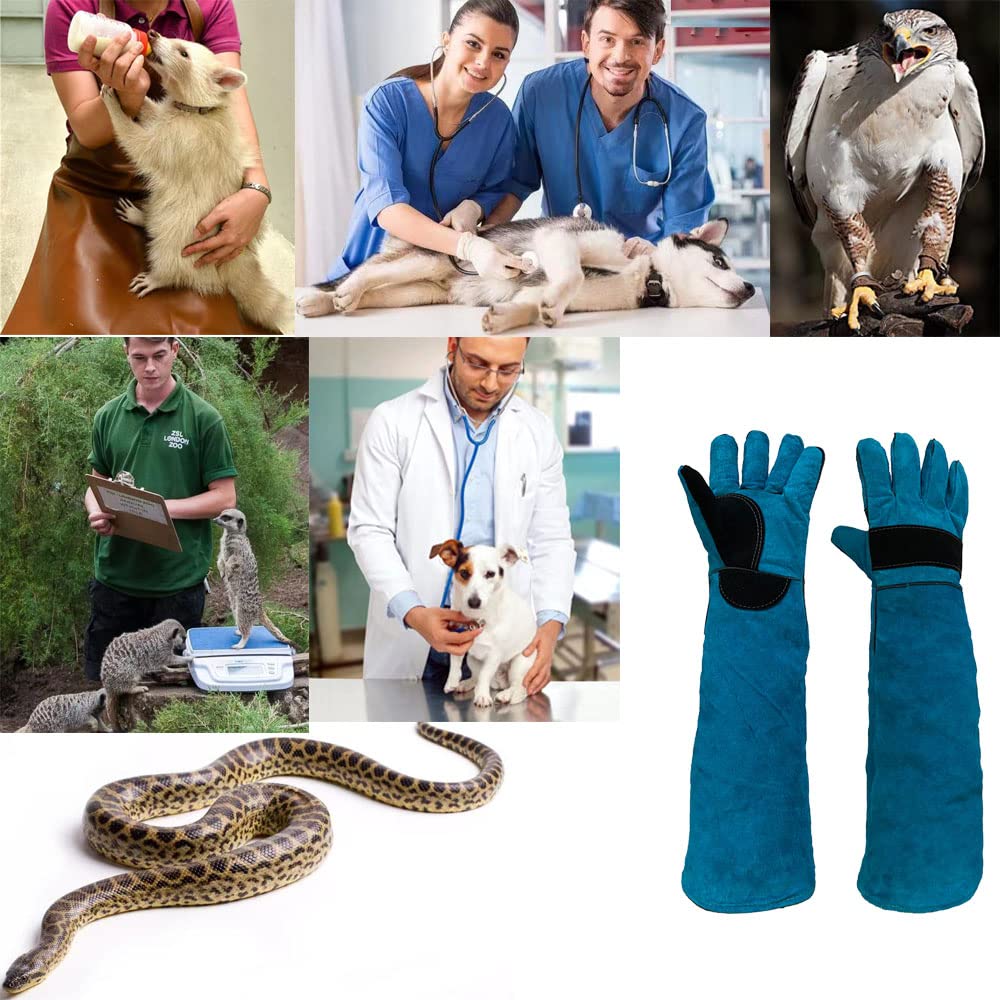 Haulonda gloves ideal for veterinarians, zoo staff, and pet owners
