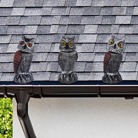 Hausse detailed feather texture enhances realism for birds.