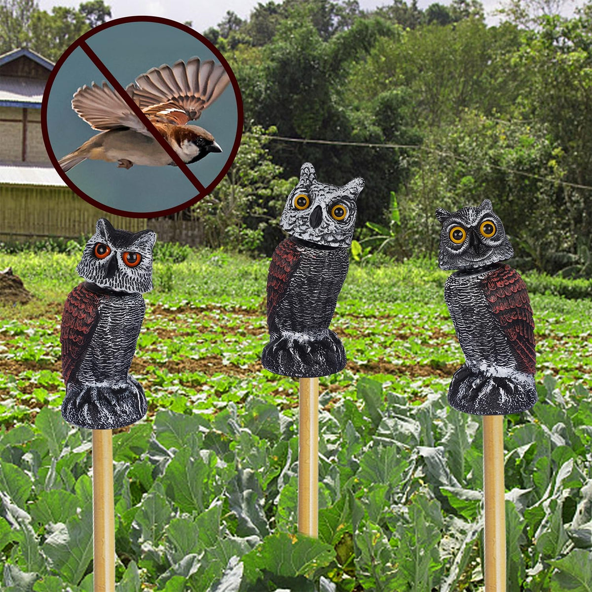  Hausse owl decoy suitable for indoor decor and display.