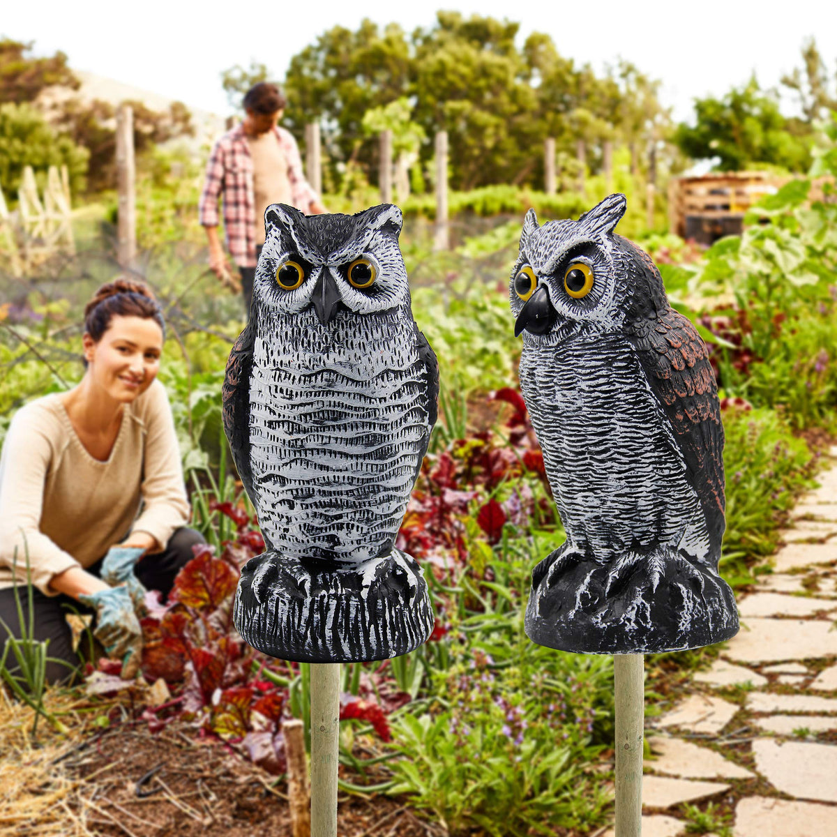 Hausse owl deterrent can be repositioned regularly to maintain effectiveness.