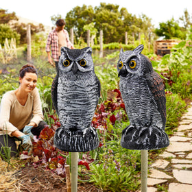 Hausse owl deterrent can be repositioned regularly to maintain effectiveness.