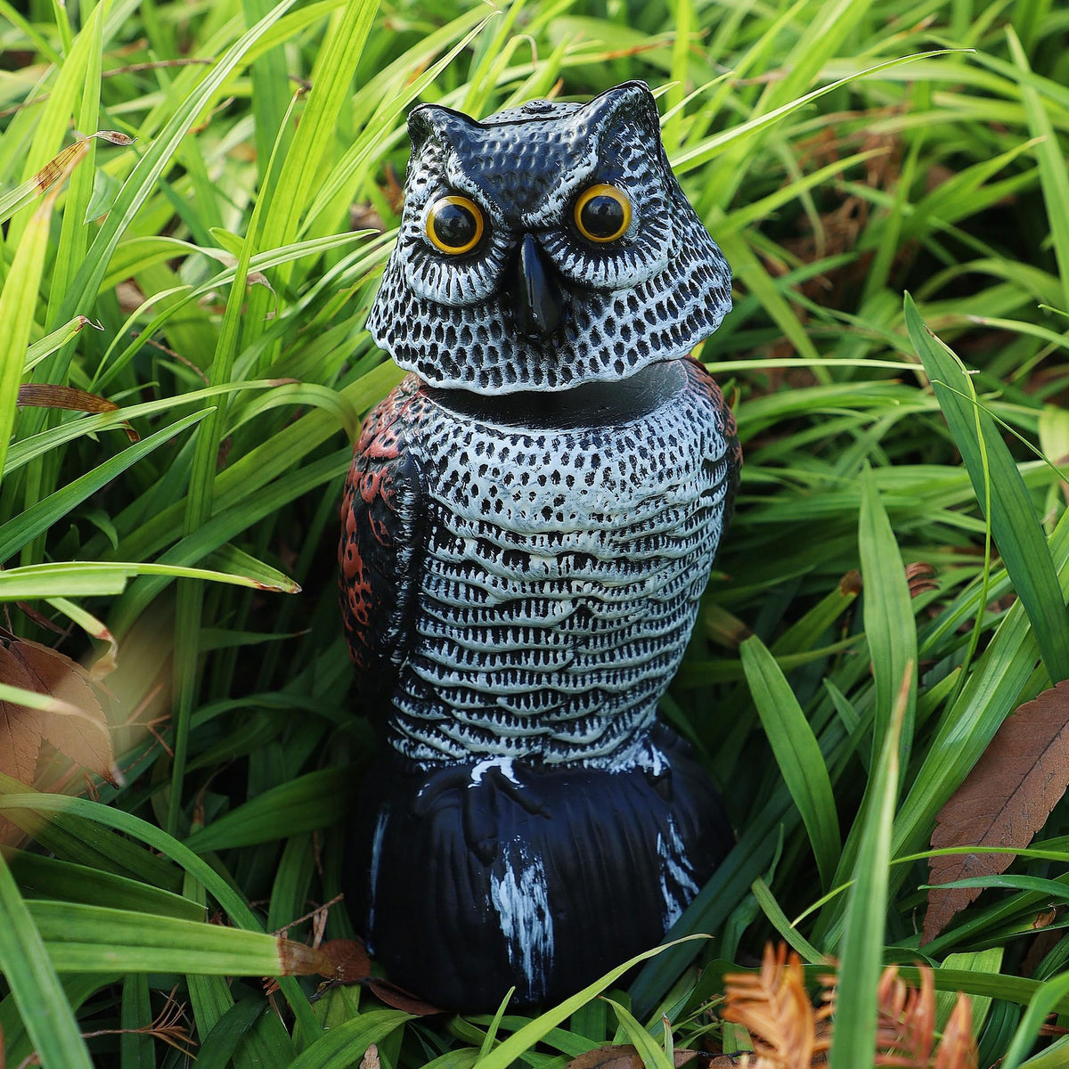 Hausse mini owl eye detail enhances natural garden look