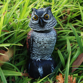 Hausse mini owl eye detail enhances natural garden look