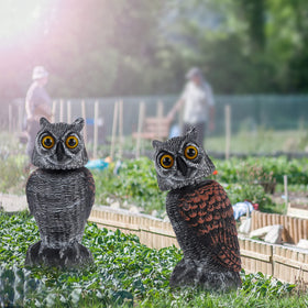 Hausse ornamental garden owl decor combines style and function.