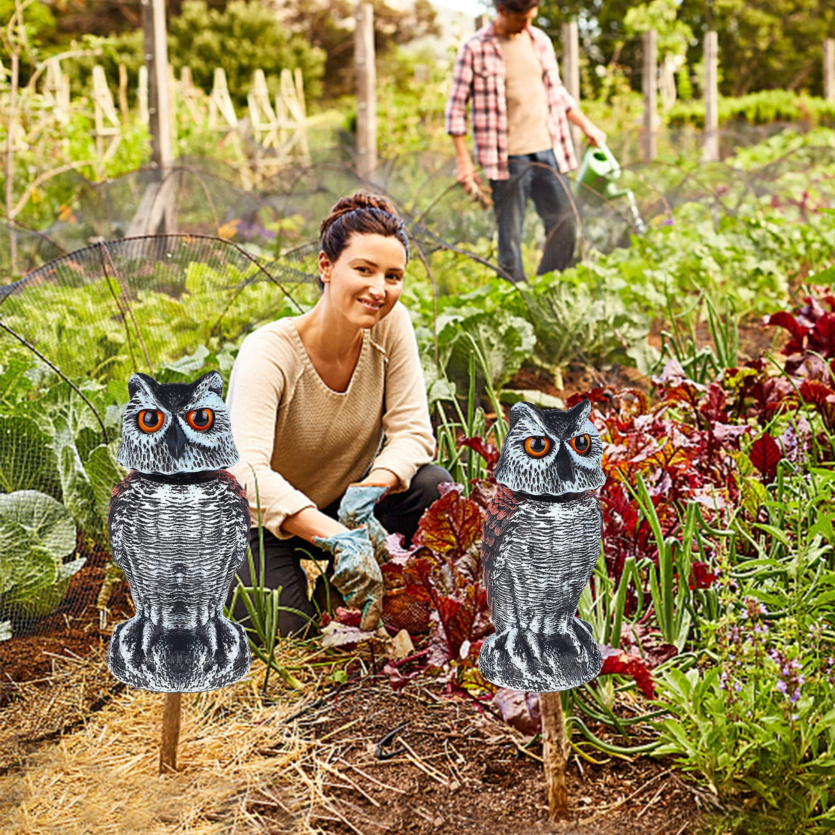 Hausse owl decoy can be mounted on trees or poles