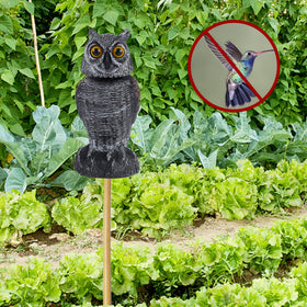 Hausse weighted-base owl deters wildlife with sand-filled stability.