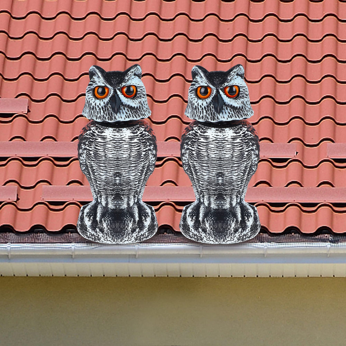 Hausse weighted base keeps the owl stable on ground