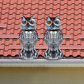 Hausse weighted base keeps the owl stable on ground