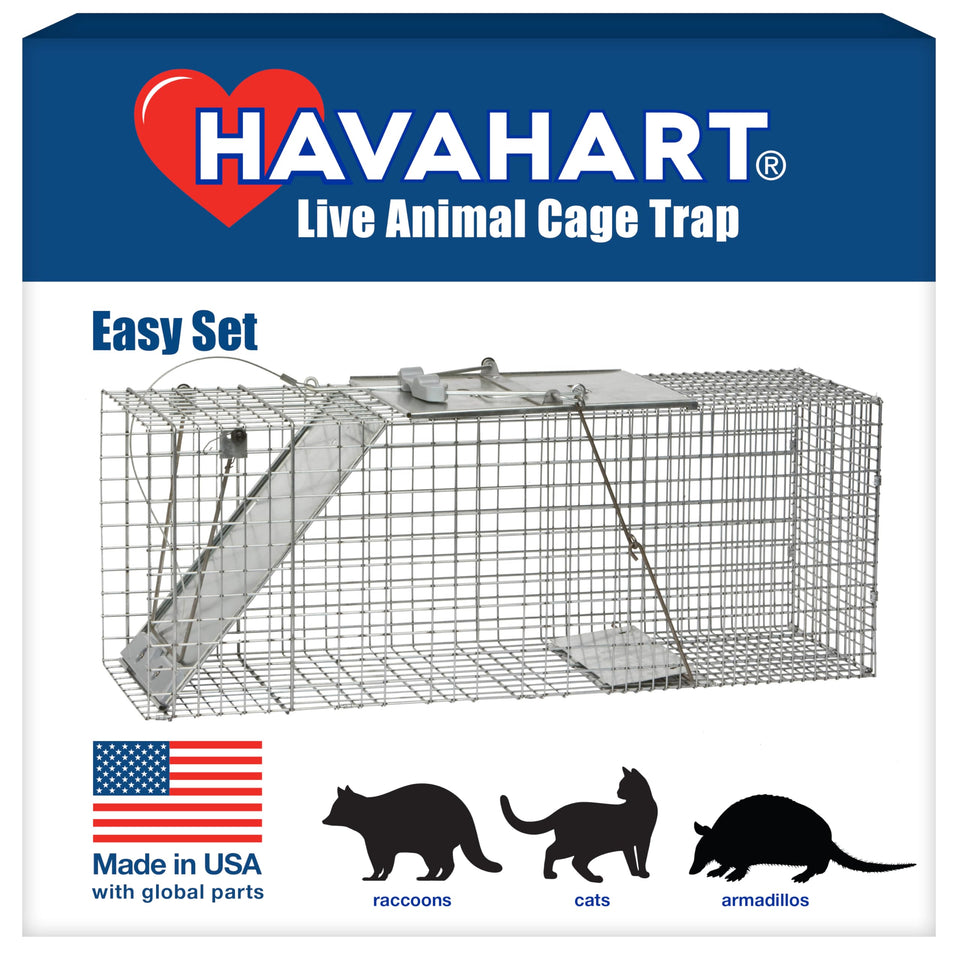 HAVAHART 1085 trap assembly view shows easy setup for humane wildlife capture.