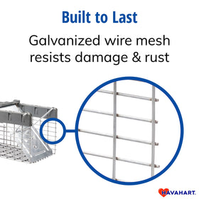 HAVAHART durable galvanized mesh detail showing rust resistance.
