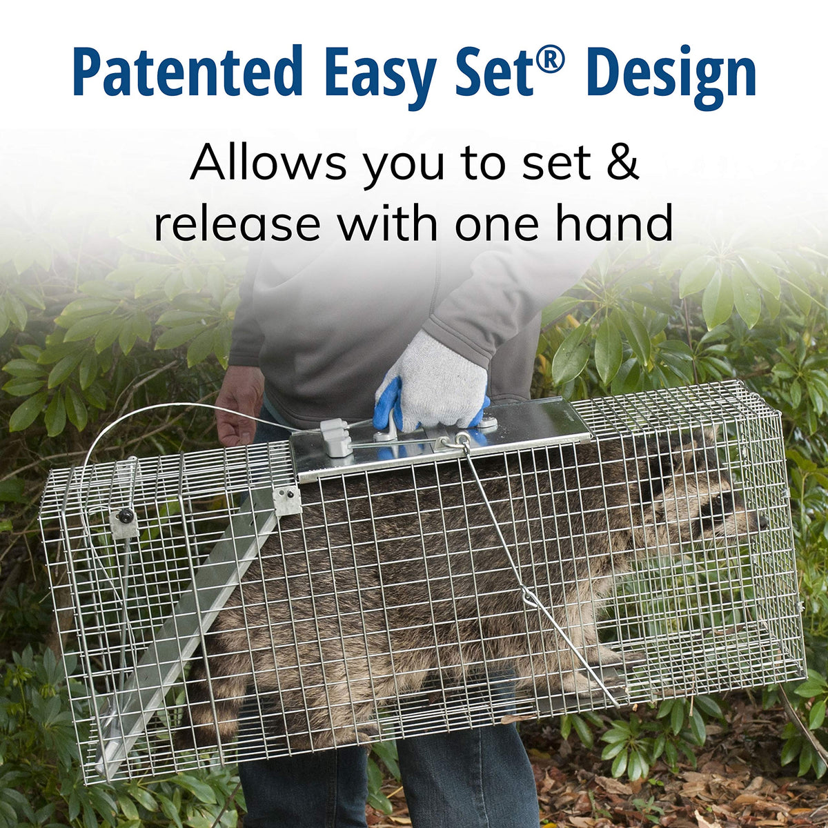 Galvanized wire mesh on HAVAHART trap resists rust and stands up to outdoor conditions.