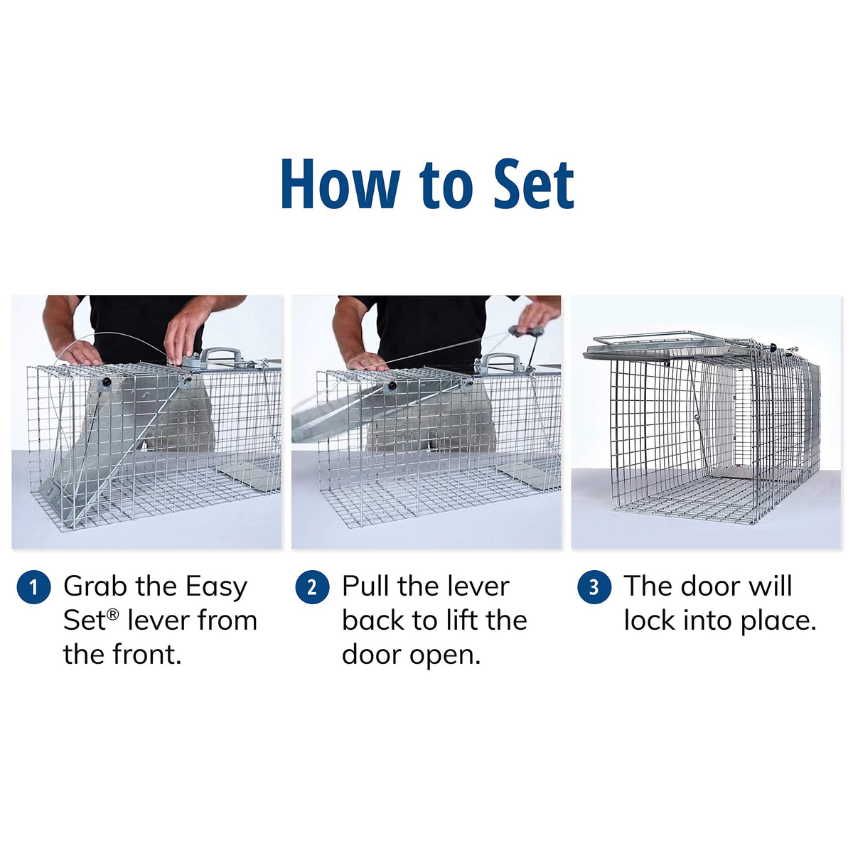 One-door design of HAVAHART trap encourages full entry and reduces escapes.