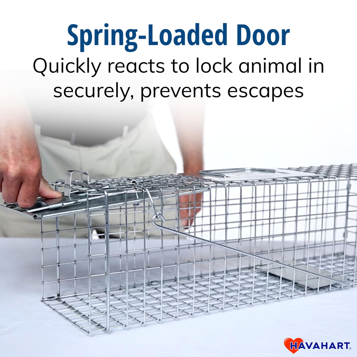 HAVAHART rust-resistant construction supports outdoor trapping years.