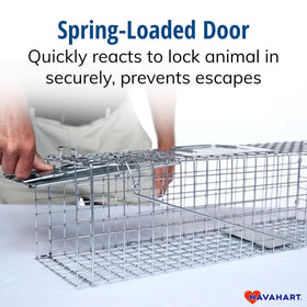 HAVAHART rust-resistant construction supports outdoor trapping years.