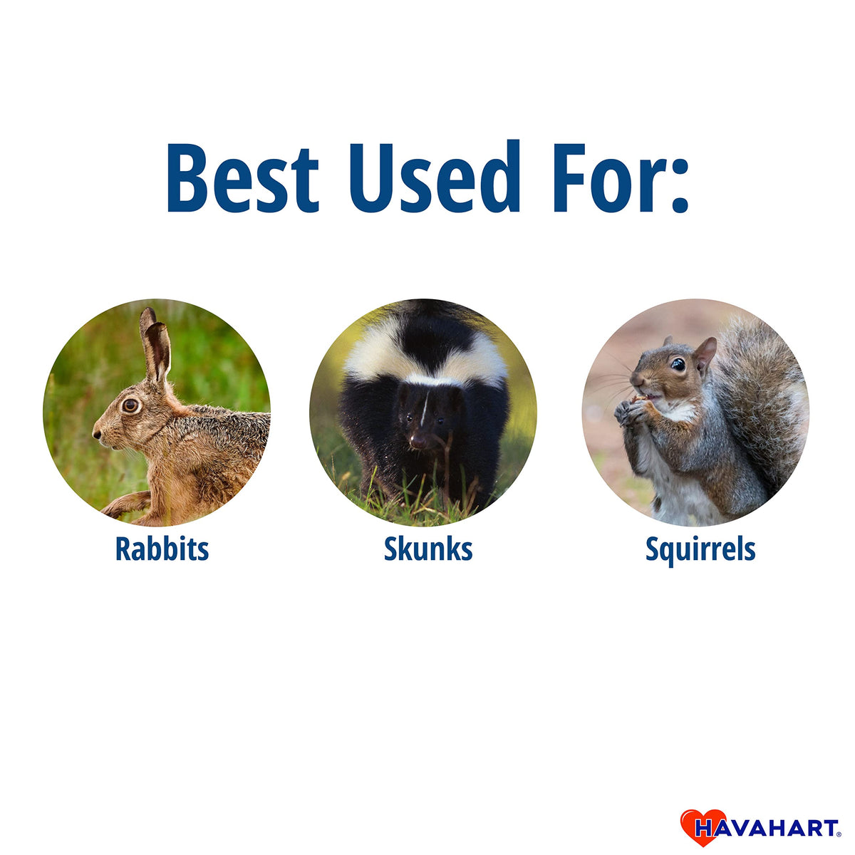 HAVAHART trap safety features with smooth interior edges protect animals during capture