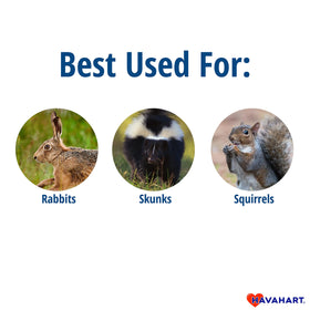 HAVAHART trap safety features with smooth interior edges protect animals during capture