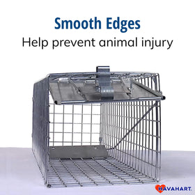 HAVAHART trap in use for rabbits, skunks, or squirrels.