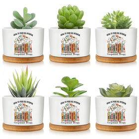 Havawish OT gifts mini ceramic pots for succulents on a desk, decorative and compact