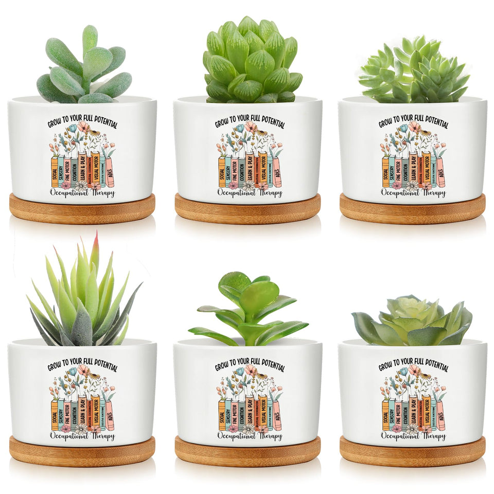 Havawish OT gifts mini ceramic pots for succulents on a desk, decorative and compact