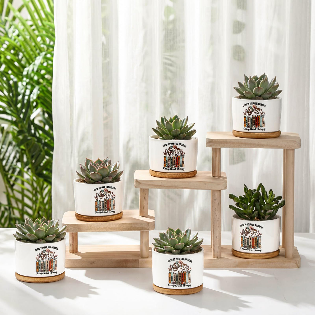 Havawish OT month set displayed as stylish desk decor