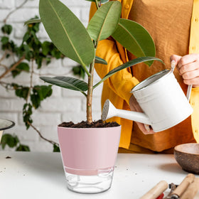 Hayder plant pot features a drainage hole for healthy roots and mess-free use.