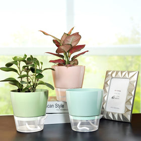 Hayder indoor outdoor plant pot set enhances decor and reduces watering frequency.