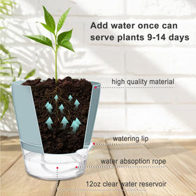 Hayder plant pot in blue, green, and pink for stylish decor and easy handling.