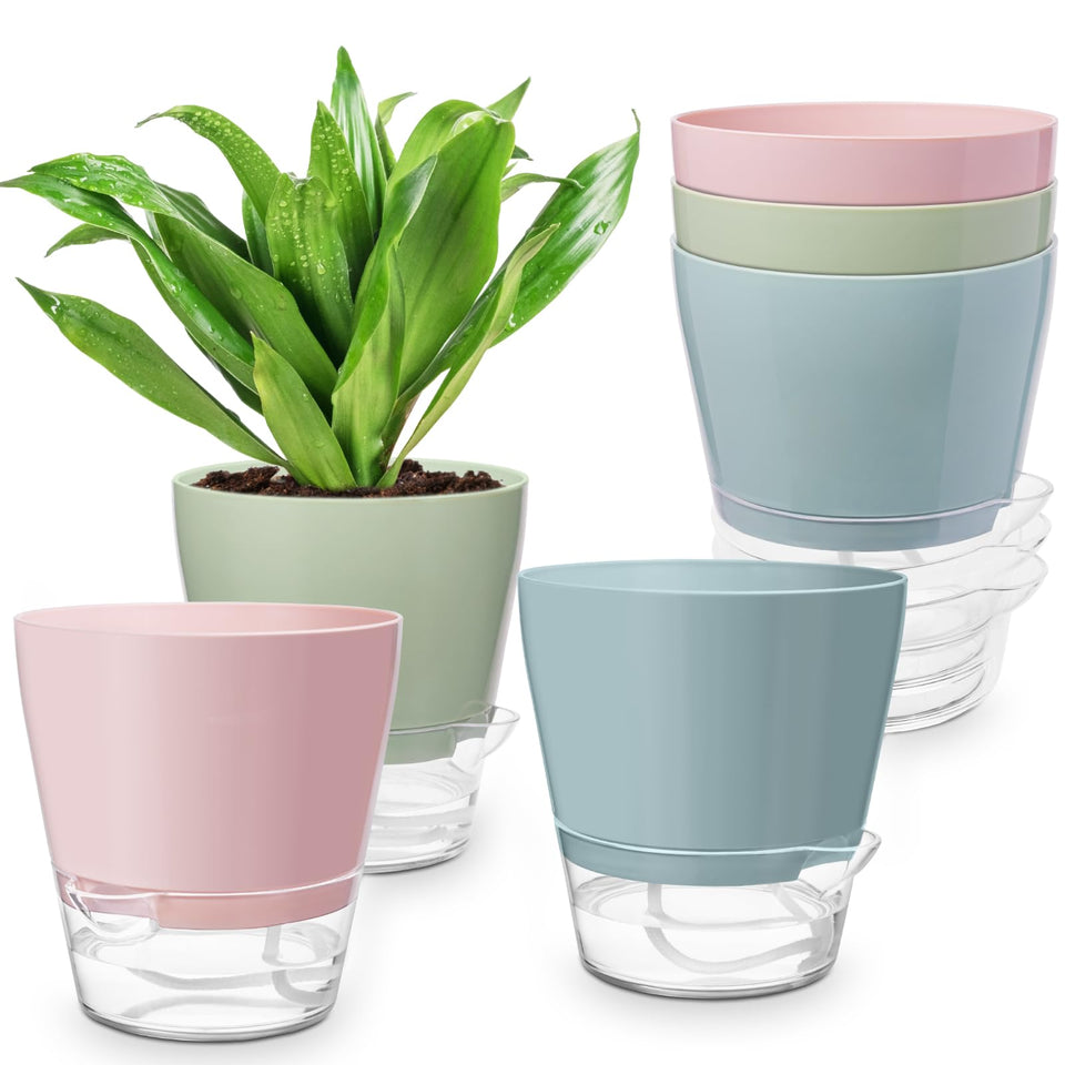 Hayder plant pot set of 6 in macaron colors for indoor and outdoor use, easy maintenance.
