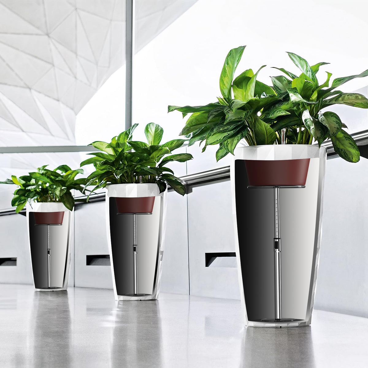 Hazztoll quick-setup risers enable easy plant positioning with minimal effort.
