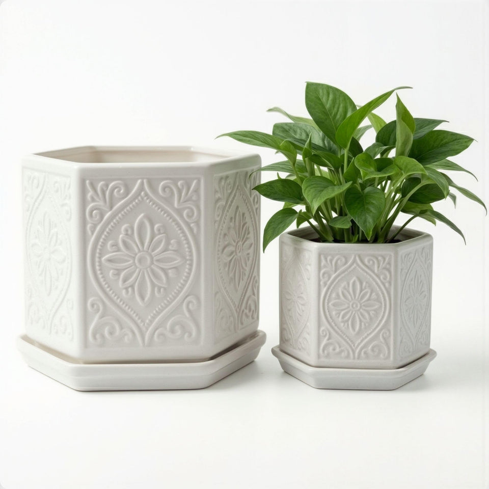 HB Design Co ceramic pot 6-inch hexagon pattern accents indoor greenery