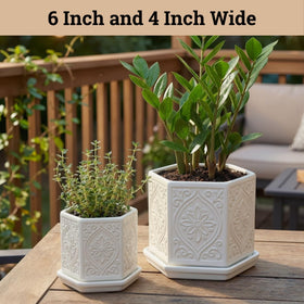 HB Design Co ceramic pot with drainage hole supports proper watering