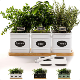 HB Design Co. Herb Planter Indoor with three pots keeps fresh herbs within easy reach.