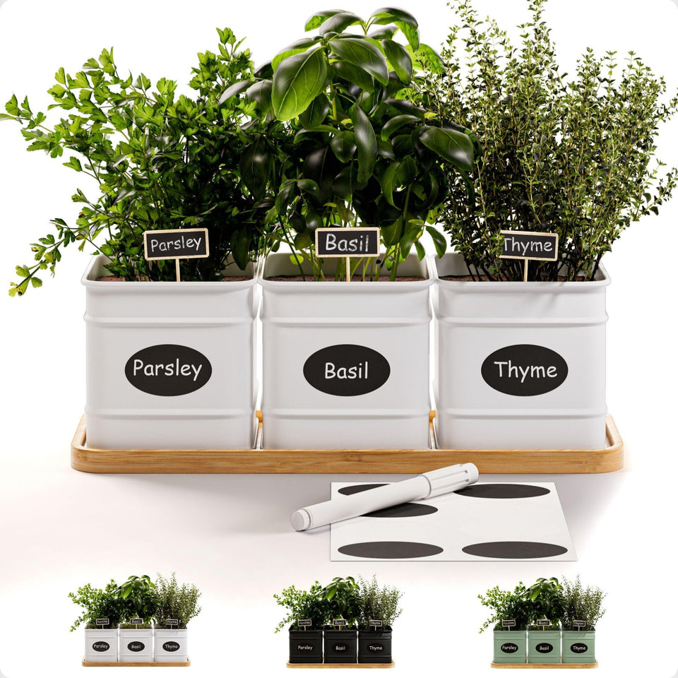 HB Design Co. Herb Planter Indoor with three pots keeps fresh herbs within easy reach.
