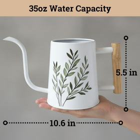 HB Design Co long-spout design reaches hanging and ground-level plants easily.